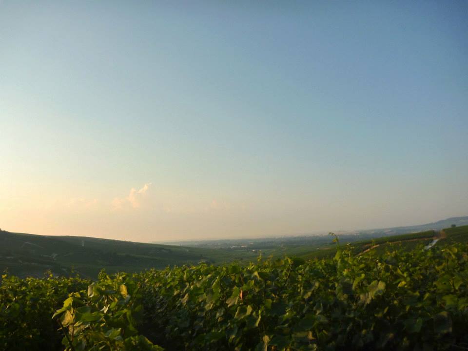 Sint-Martinus den XIIde - Kamp Curfoz JIN 2013